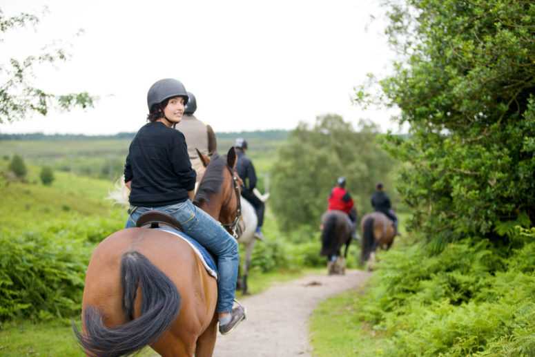 Equitation dans la campagne anglaise